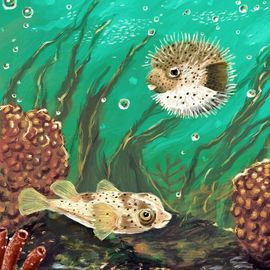 2 poissons se promènent au milieux des coraux et des algues.