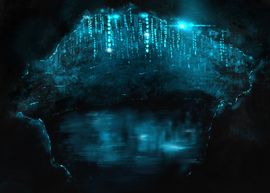 Larves bioluminescentes Arachnocampa luminosa dans une grotte néo-zélandaise, suspendues par des fils de mucus.