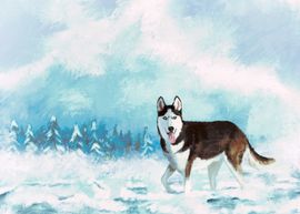 Husky debout dans la neige, vu de profil.