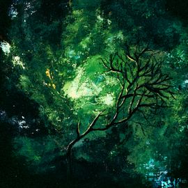 Forêt dense avec des formes floues émergeant de la végétation.