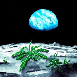 Vue de la Terre depuis la Lune. Sur le sol lunaire, de la roquette pousse.