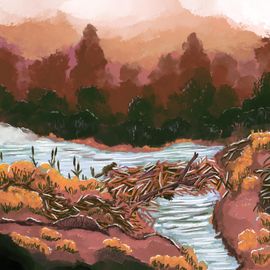 Scène de nature où un castor fait un abri sur l’eau.