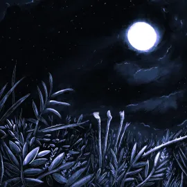 Des végétaux éclairés à la lumière blanche de la lune, dans une nuit bleutée.
