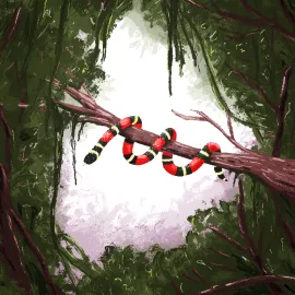 Jungle dans laquelle un serpent aux anneaux colorés se déplace. Il encercle une branche.