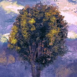 Début de soirée orageuse. Le ciel est sombre. L’arbre est grand.