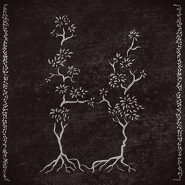 Deux arbres ornementaux sur fond de velours noir.