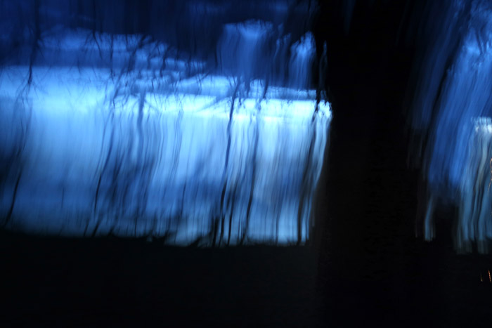 Arbre sous les flots