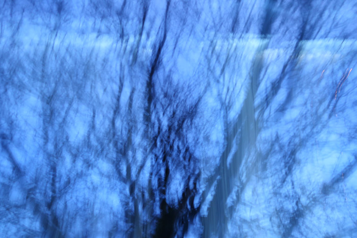 Ondulations boisées